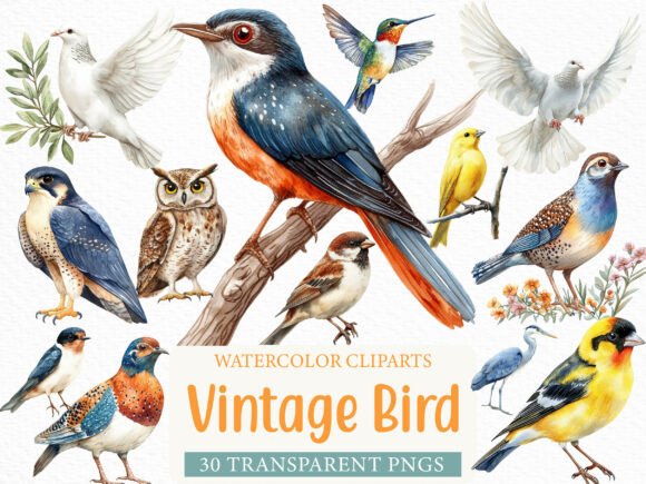 Timeless Elegance: Using Vintage Bird Clipart in Modern Design