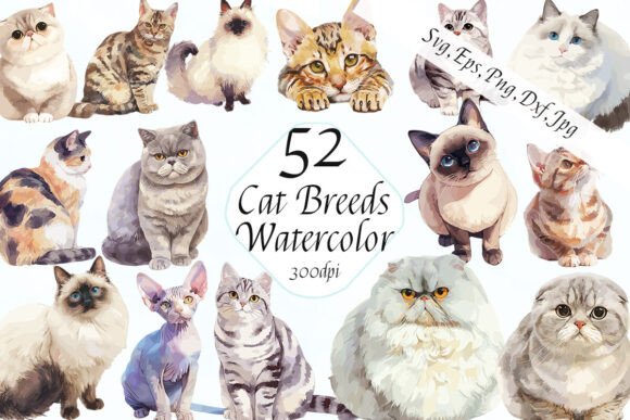 Watercolor Cat Breeds Clipart Svg Bundle: A Designer's Resource