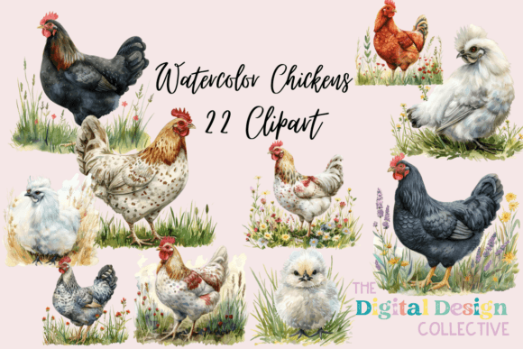 Watercolor Chickens Clipart PNG: A Designer's Guide to Whimsical Art